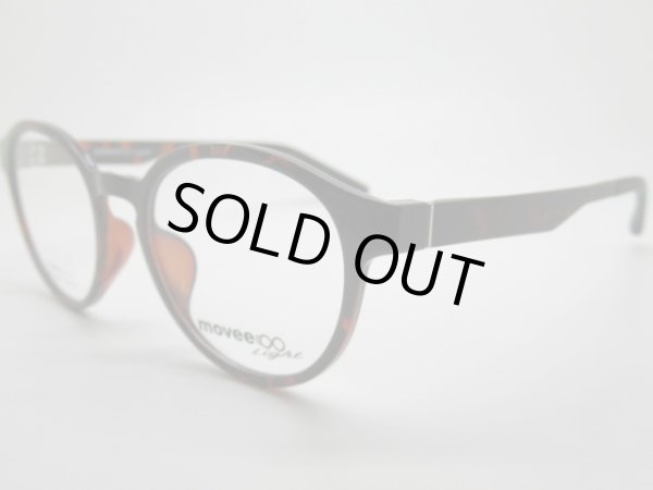 ２　ブラウンデミ